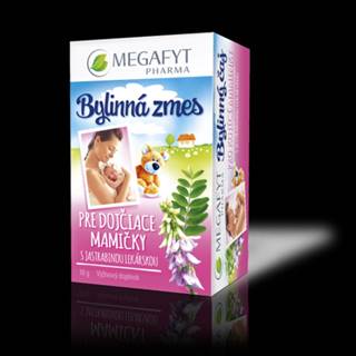 MEGAFYT Bylinný čaj pre dojčiace mamičky 20 x 1,5 g