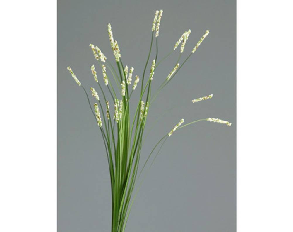 ASKO - NÁBYTOK Umelá kvetina Tráva 70 cm, krémová, značky ASKO - NÁBYTOK